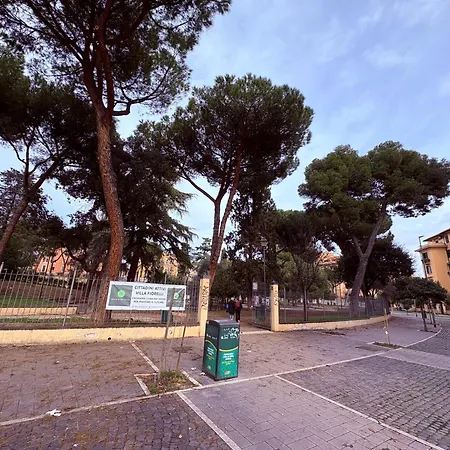 Domus Fiorelli Roma