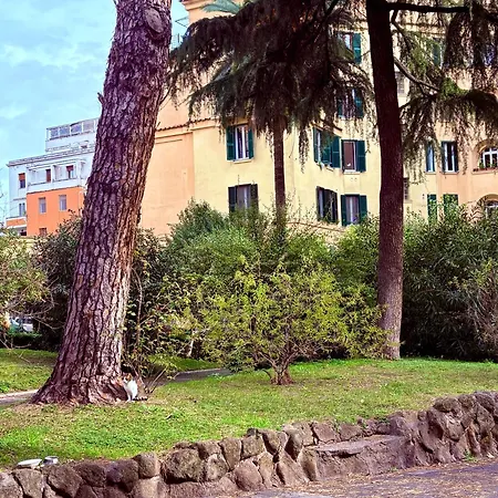 Domus Fiorelli *
